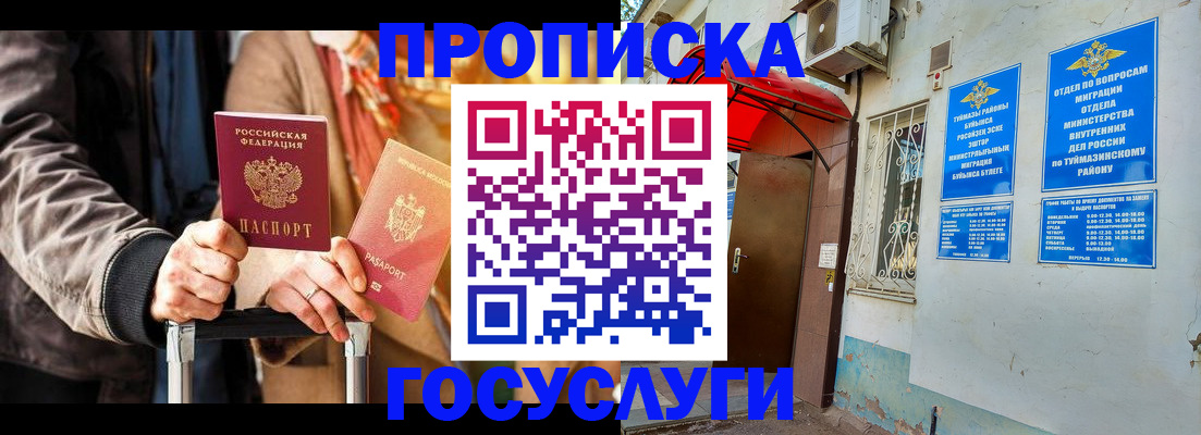 прописка гарантия в Щёлкино